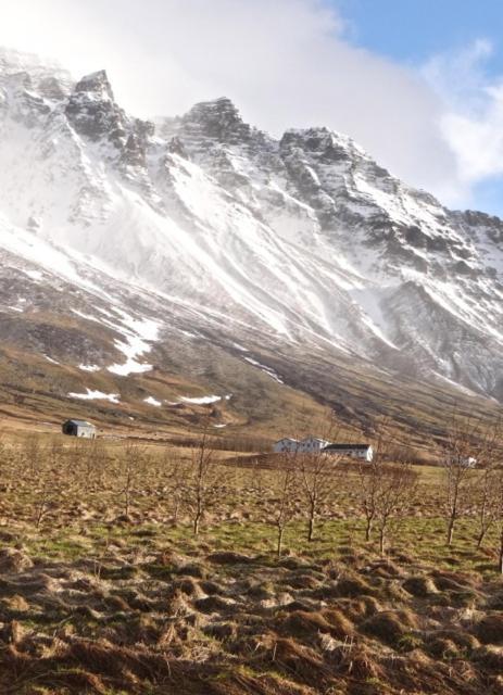 Vila Esjan Kjalarnes Exteriér fotografie