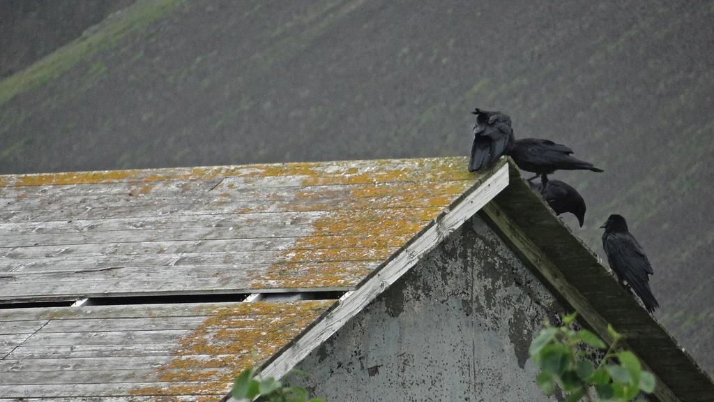 Vila Esjan Kjalarnes Exteriér fotografie