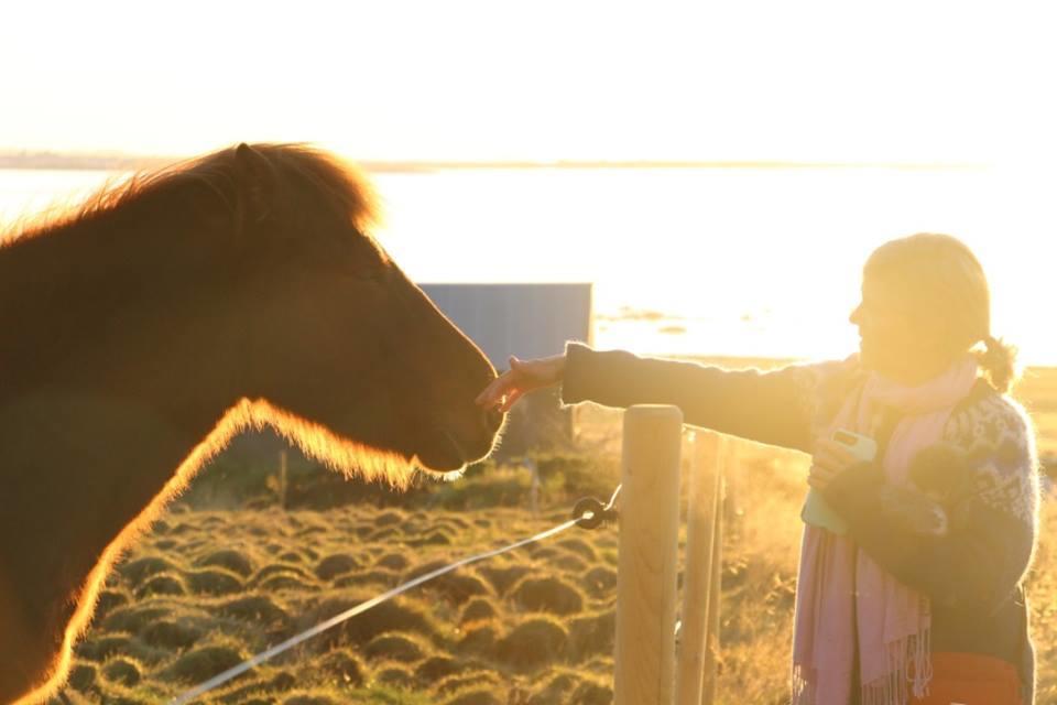 Vila Esjan Kjalarnes Exteriér fotografie